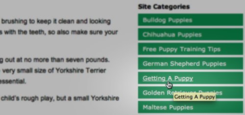 Remove link prefix from categories widget in WordPress